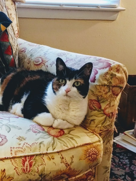 Lilly