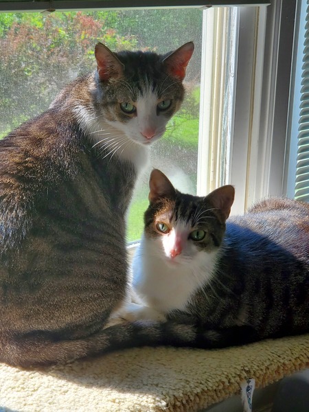 Penny & Leonard