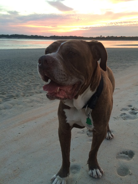Cooper