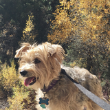 Entry image for Kirby