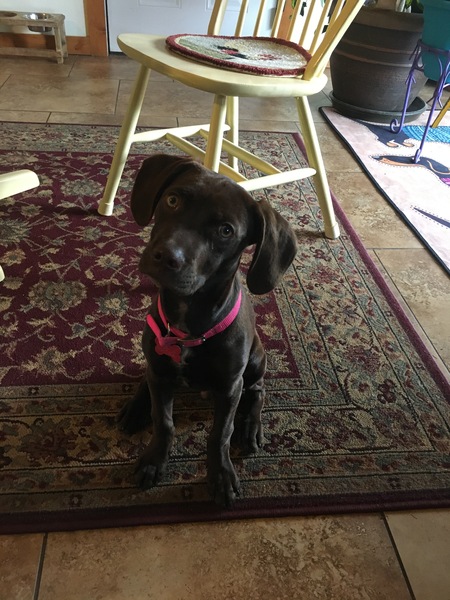 Entry image for Edmond . Clicking this image will show a larger photo