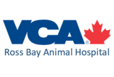 Veterinarians in Victoria Ross Bay Animal Hospital