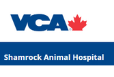 Veterinarians in Comox