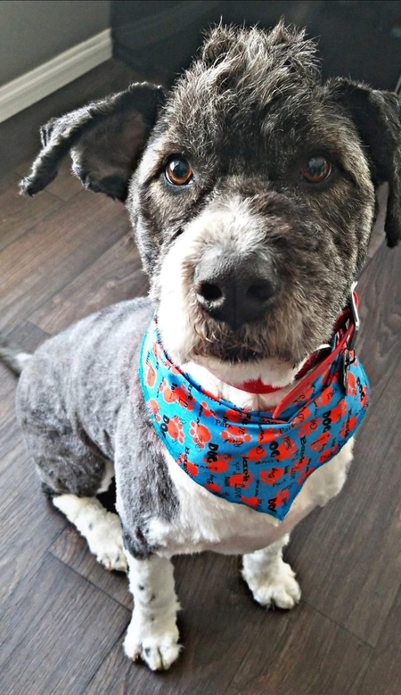 JAX