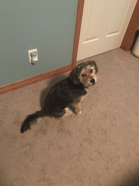 Cooper