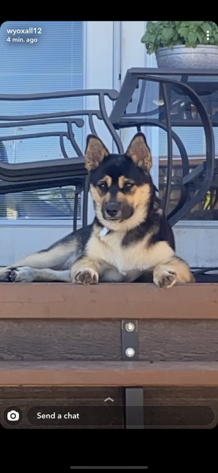 Bella