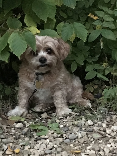 Buster