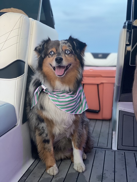 Skye