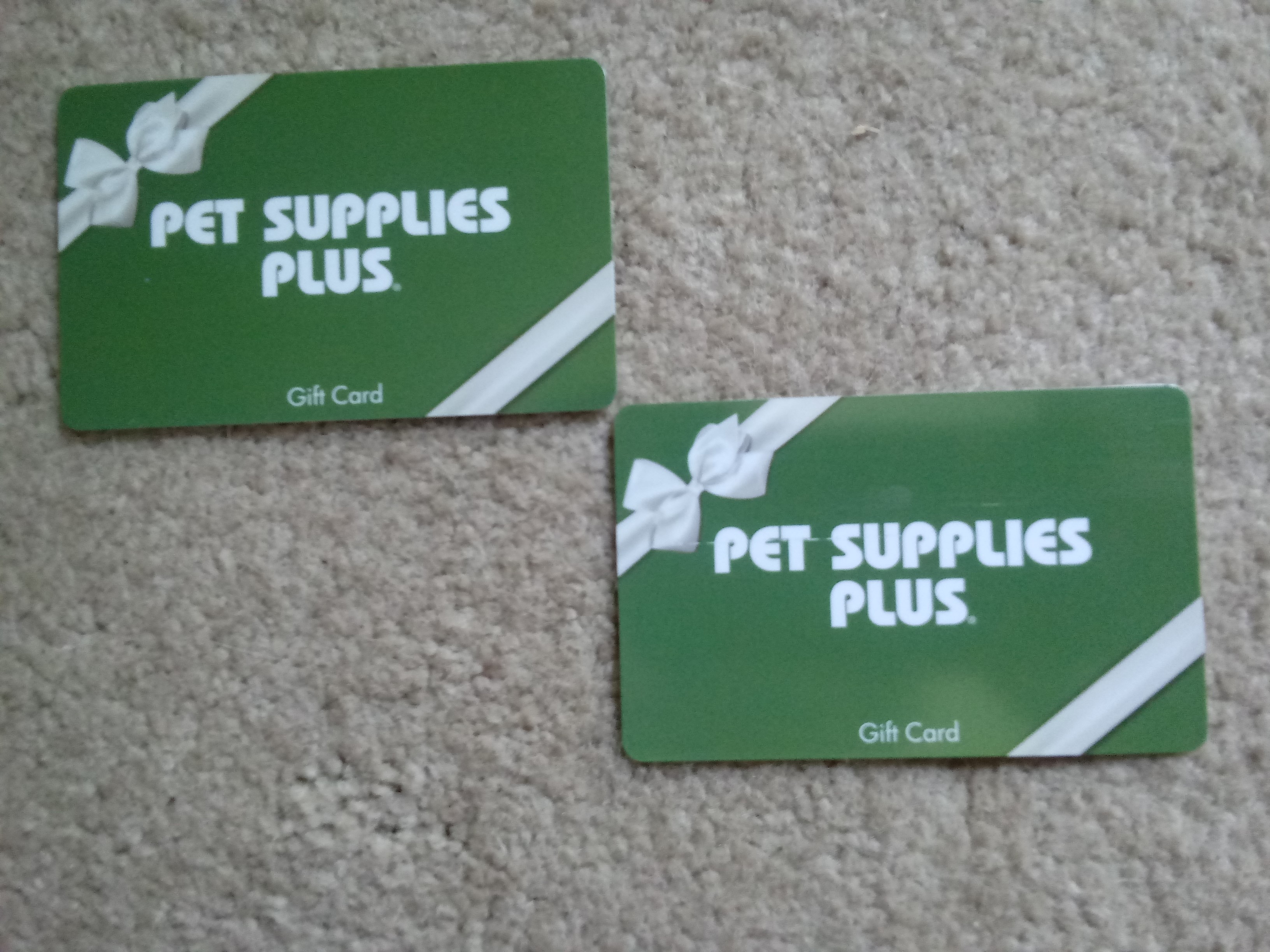 Homepage | Friends Of Paws In Prison | 2021 Cutest Critter Photo Contest