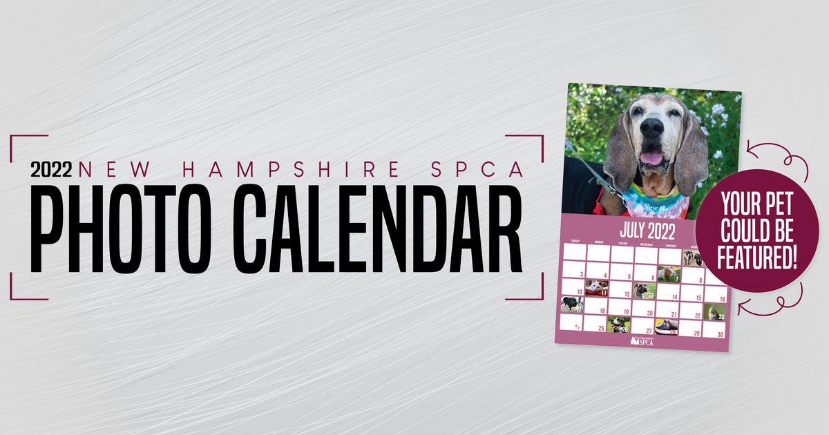 Aspca Calendar 2022 New Hampshire Spca | The 2022 Nhspca Calendar Contest