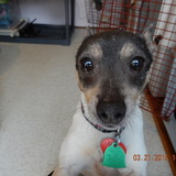 Entry image for Minnie