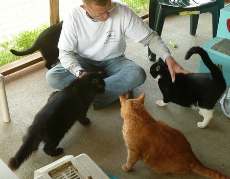 Entry image for CFC Cat Planners. Clicking this image will show a larger photo