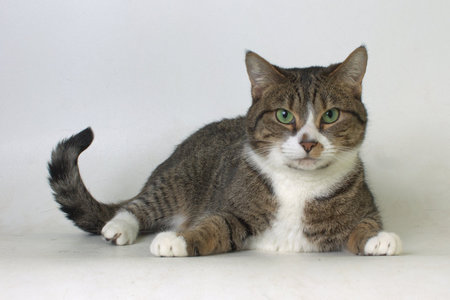 Entry image for Agnes. Clicking this image will show a larger photo