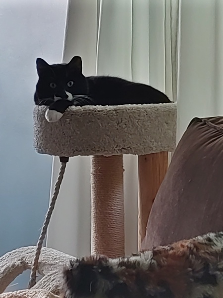 Ruggles