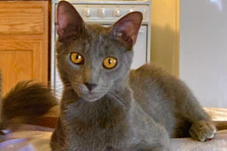 Mya