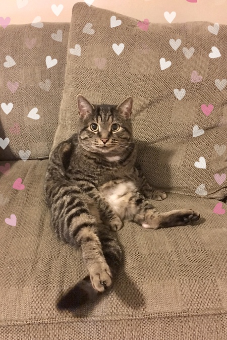 Jasper 