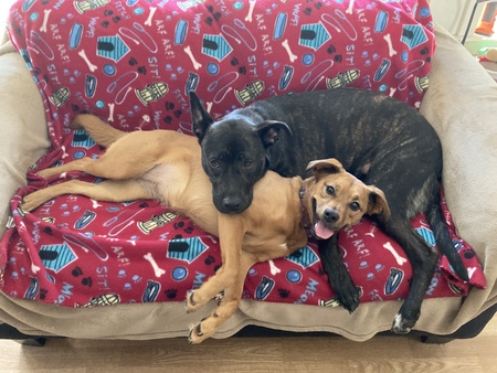 Matilda and Melinda