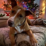 Entry image for Princess