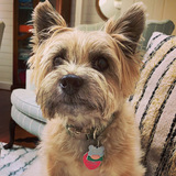 Entry image for Frederick 