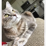 Entry image for June 