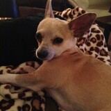 Entry image for Speedbump