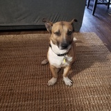 Entry image for Hansel