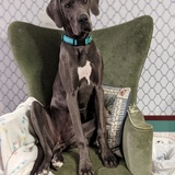 Entry image for Missy 