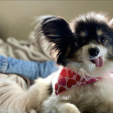 Entry image for Kizzy