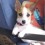 Entry image for Morgan Griffin