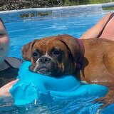 Entry image for Gwen