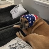 Entry image for Kona