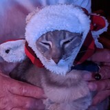 Entry image for Duval Griffin