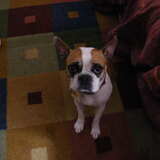 Entry image for Clara