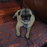 Entry image for Summer