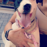 Entry image for Charlie 