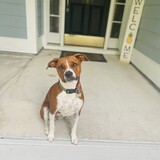 Entry image for Emmie 