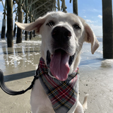 Entry image for Folly