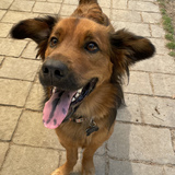 Entry image for Mocha