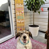 Entry image for Ernie Wilson