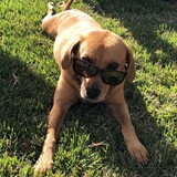 Entry image for Mica