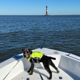 Entry image for Charlie