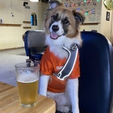 Entry image for Baxter