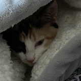 Entry image for Sabrina