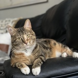 Entry image for April