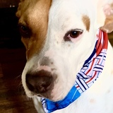 Entry image for Molly