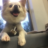 Entry image for Princess 