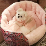 Entry image for Alexis