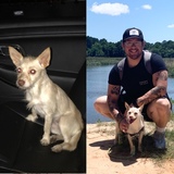 Entry image for Rose