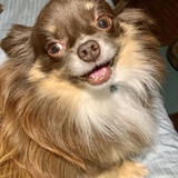 Entry image for Keanu