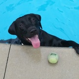 Entry image for Hinckley